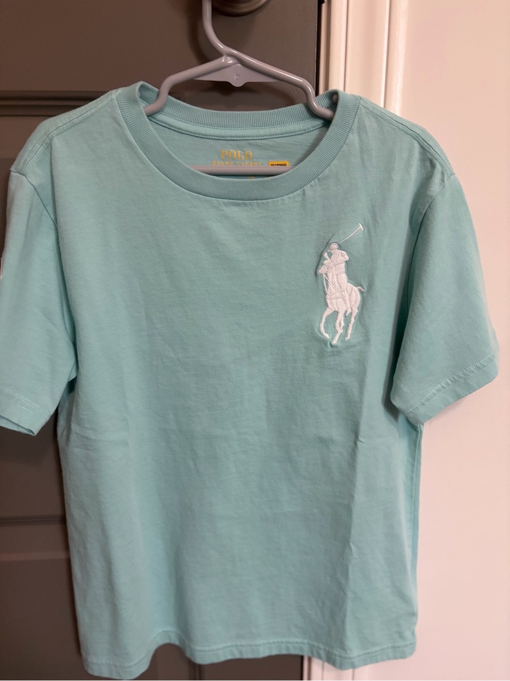 Polo by Ralph Lauren Light Mint Short Sleeve Logo Tee